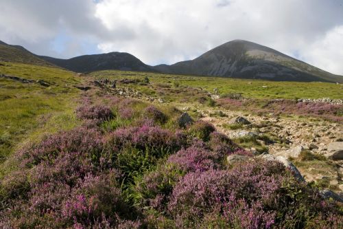 Croagh Patrick Co Mayo