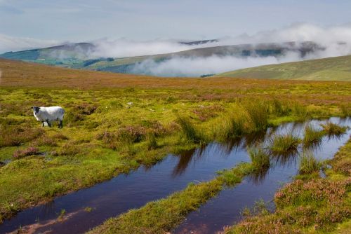 Galtee Mountains