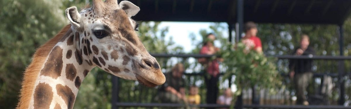 belfastzoo