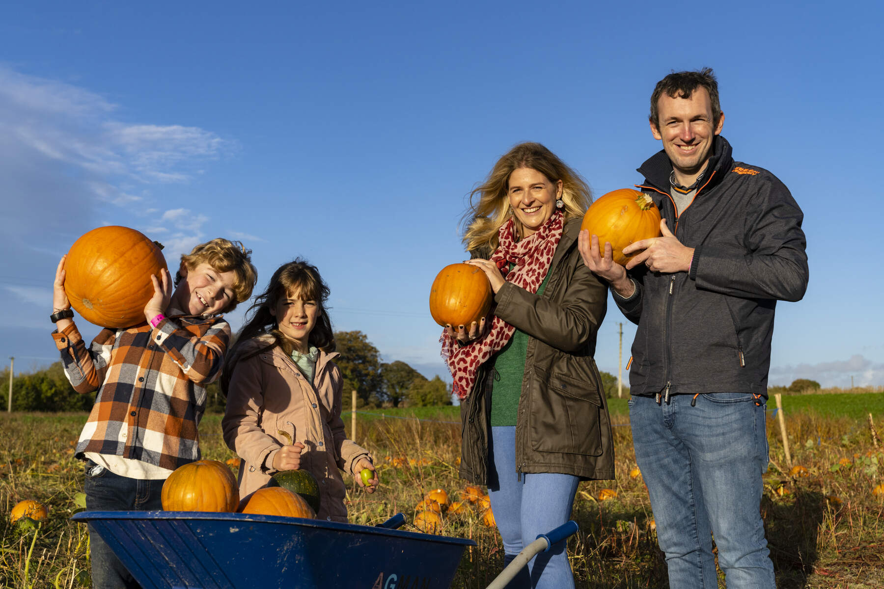 halright pumpkin patch fordstown navan co meath web size