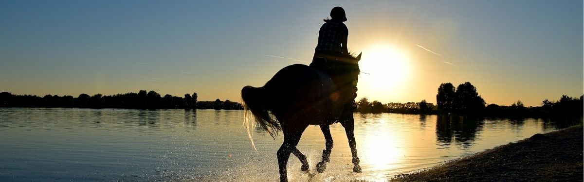 horse riding one